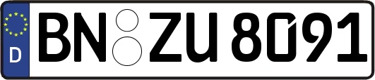 BN-ZU8091