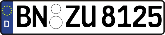 BN-ZU8125