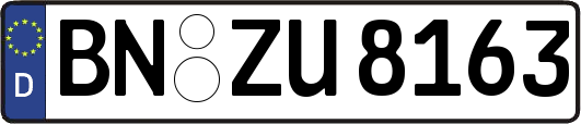 BN-ZU8163