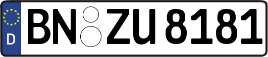 BN-ZU8181