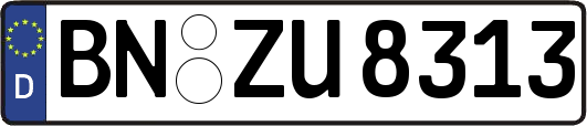 BN-ZU8313