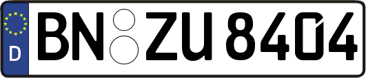 BN-ZU8404