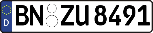 BN-ZU8491