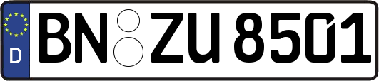BN-ZU8501