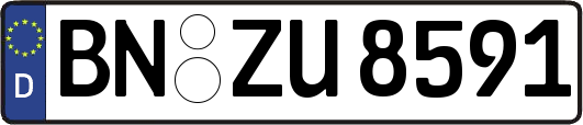 BN-ZU8591