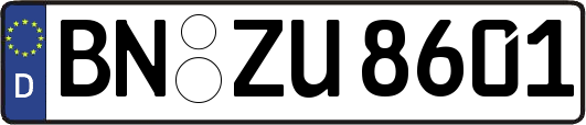 BN-ZU8601