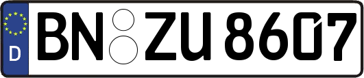 BN-ZU8607