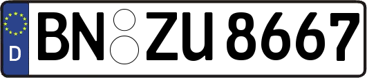 BN-ZU8667