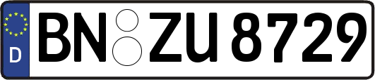 BN-ZU8729