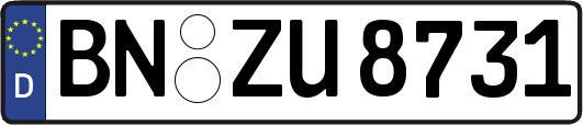 BN-ZU8731