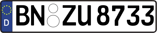 BN-ZU8733