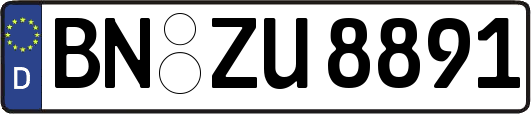 BN-ZU8891