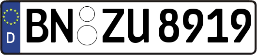 BN-ZU8919