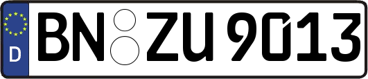 BN-ZU9013
