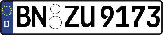 BN-ZU9173