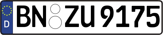 BN-ZU9175