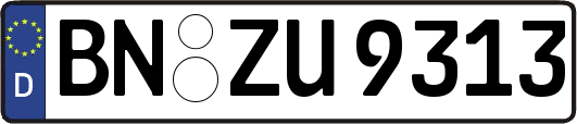 BN-ZU9313