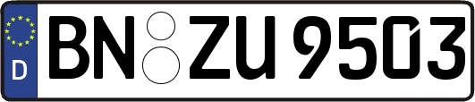 BN-ZU9503