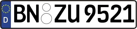 BN-ZU9521