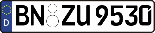 BN-ZU9530