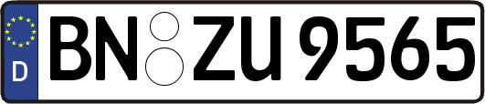 BN-ZU9565