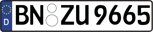 BN-ZU9665