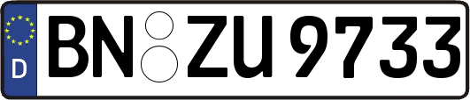 BN-ZU9733