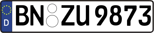 BN-ZU9873