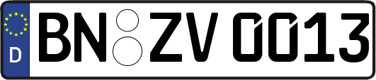 BN-ZV0013