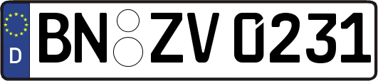 BN-ZV0231