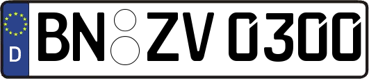 BN-ZV0300