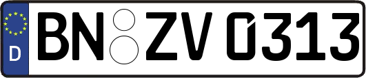 BN-ZV0313