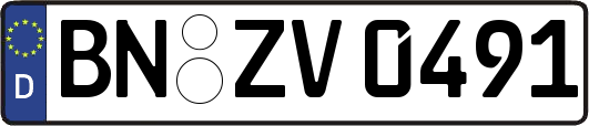BN-ZV0491
