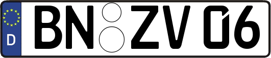 BN-ZV06