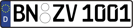 BN-ZV1001
