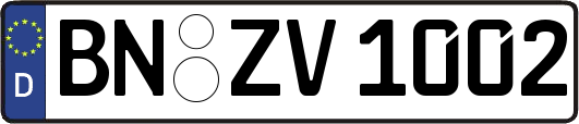 BN-ZV1002