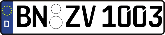 BN-ZV1003