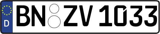 BN-ZV1033