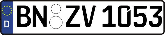 BN-ZV1053