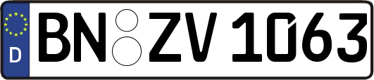 BN-ZV1063