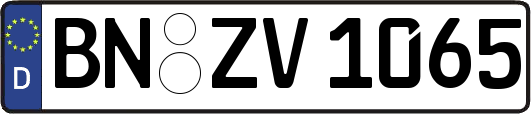 BN-ZV1065
