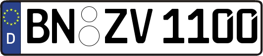 BN-ZV1100
