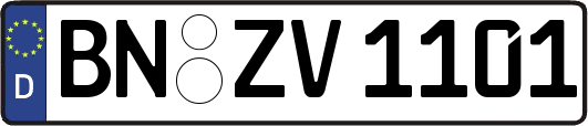 BN-ZV1101
