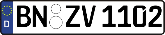 BN-ZV1102