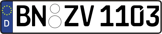 BN-ZV1103
