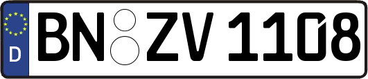 BN-ZV1108
