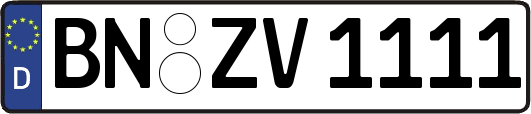 BN-ZV1111