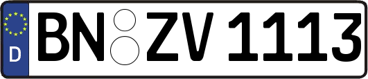 BN-ZV1113