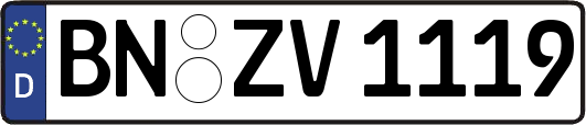 BN-ZV1119