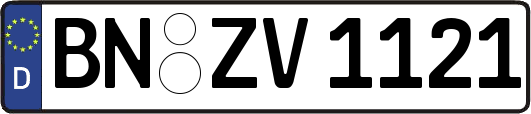 BN-ZV1121